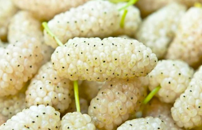 Përsa i përket kolesterolit, nëse konsumohet mani i bardhë për një periudhë nga 4-8 javë